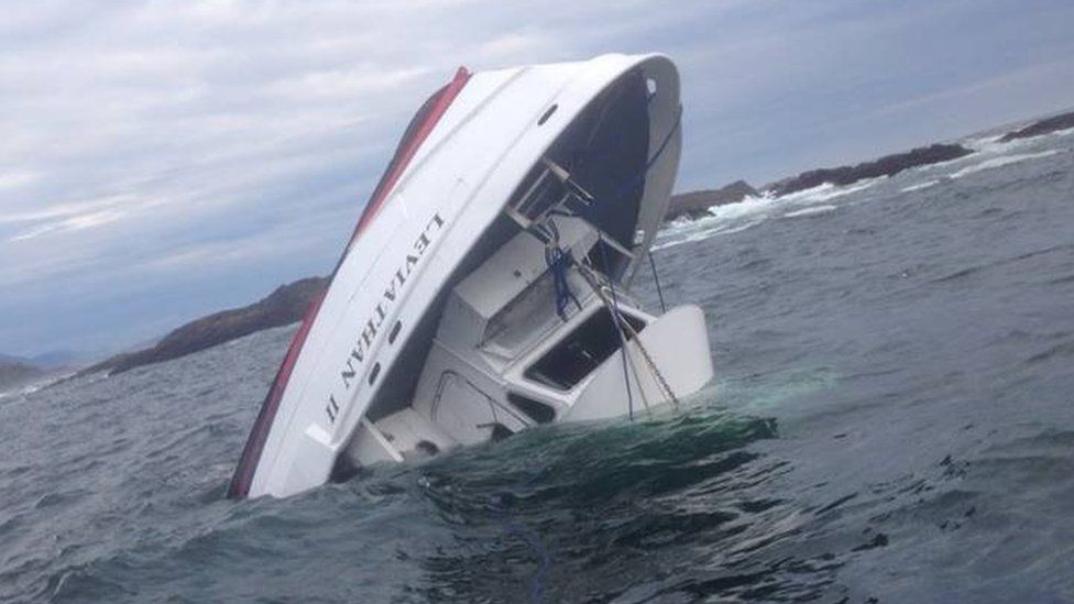sailboat sinks after hitting whale