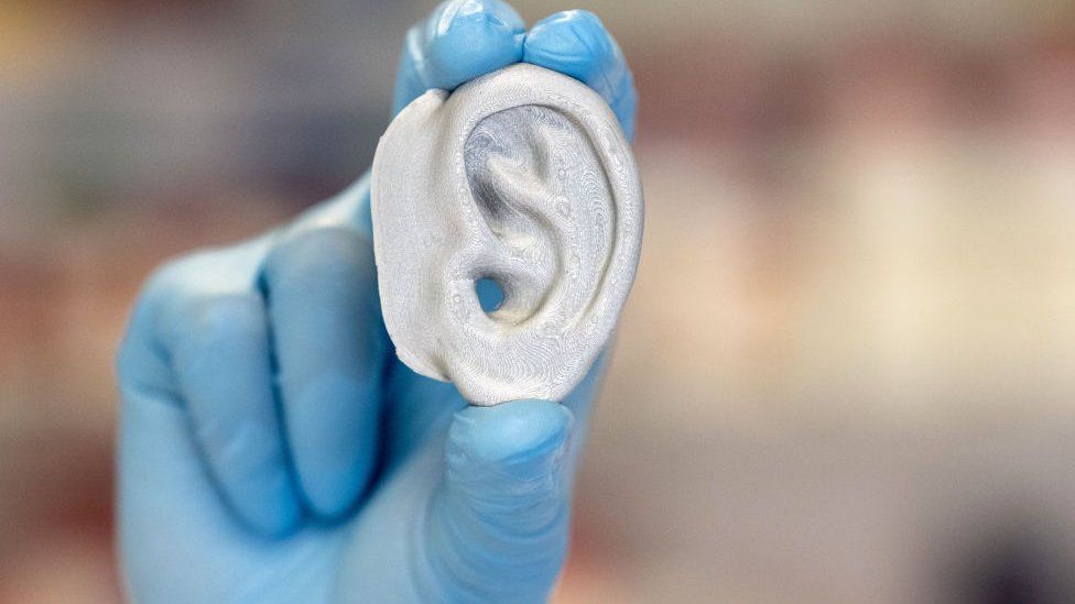An ear printed in the lab