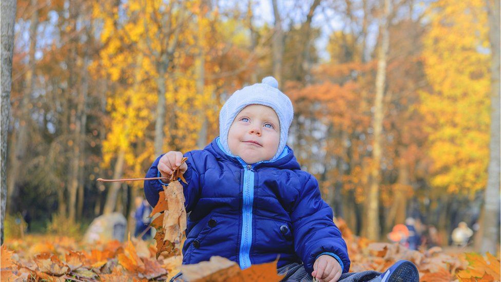 small child in warm clothes playing in fallen autumn leaves