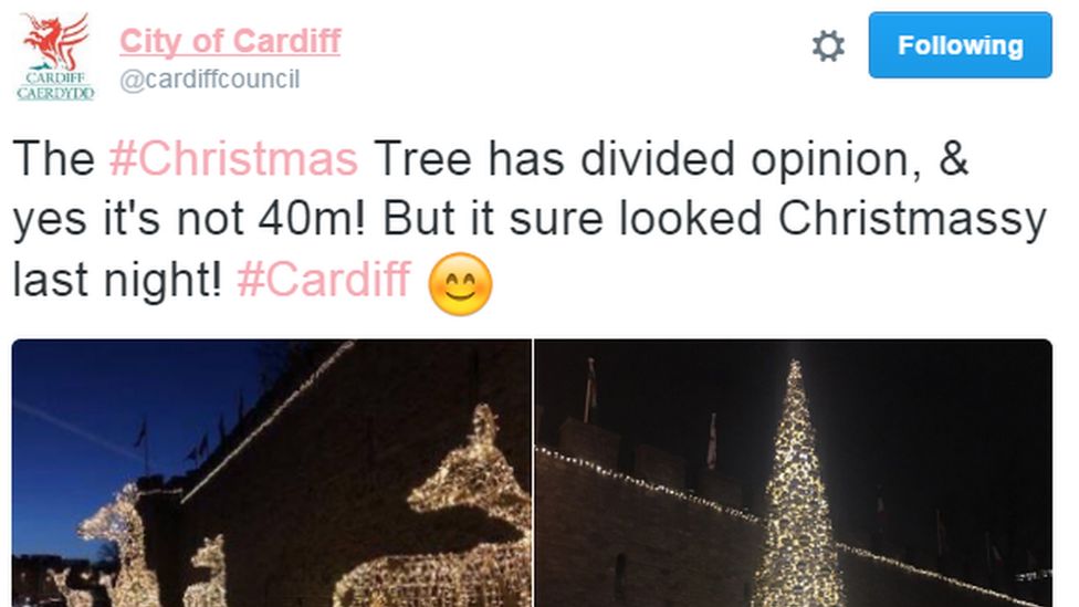 The authority confirmed the tree was 40ft - not the 40m advertised