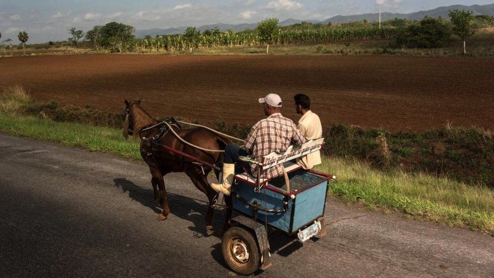 Agricultores en un carro tirado por caballos en el campo
