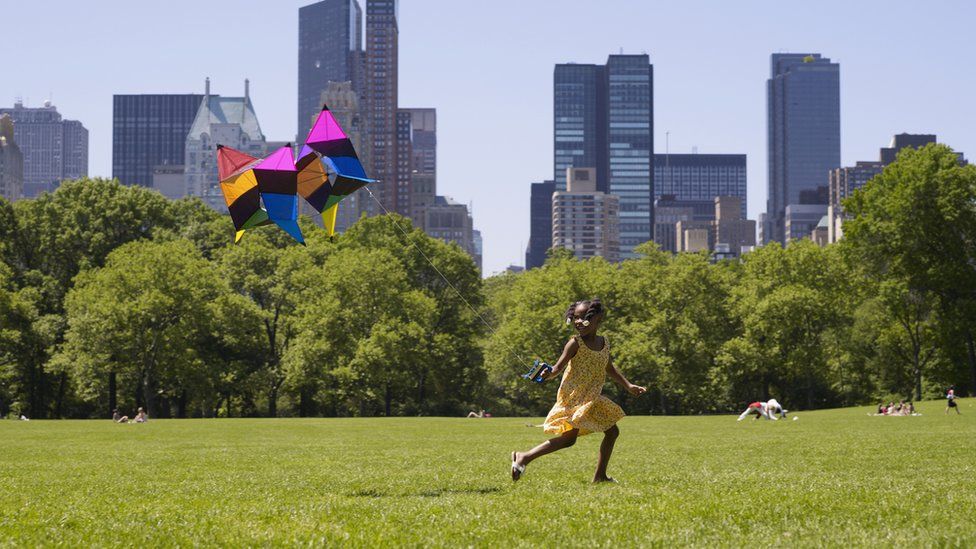 Colorful kites flying high at the Austin 2025 Festival