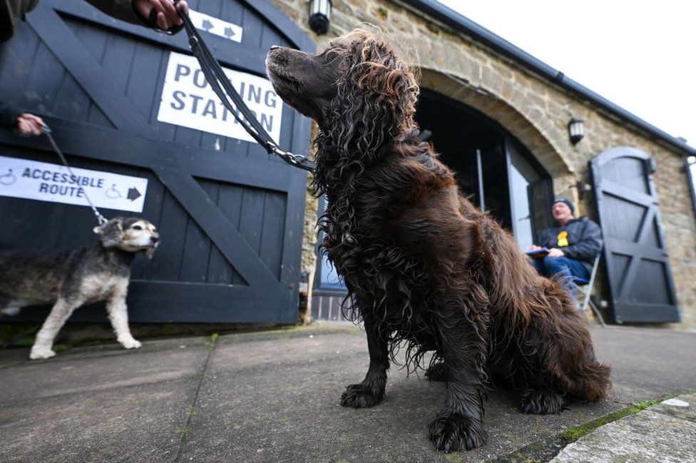 Dogs outside the polling station at The Salt House, on May 02, 2024 in West Bay, England.