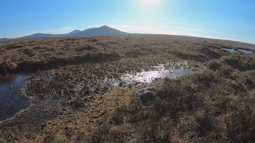 flow country bog