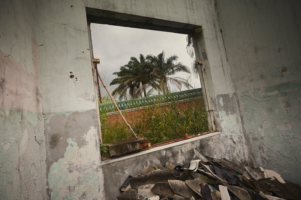 The ruins of Nsele Palace through a window