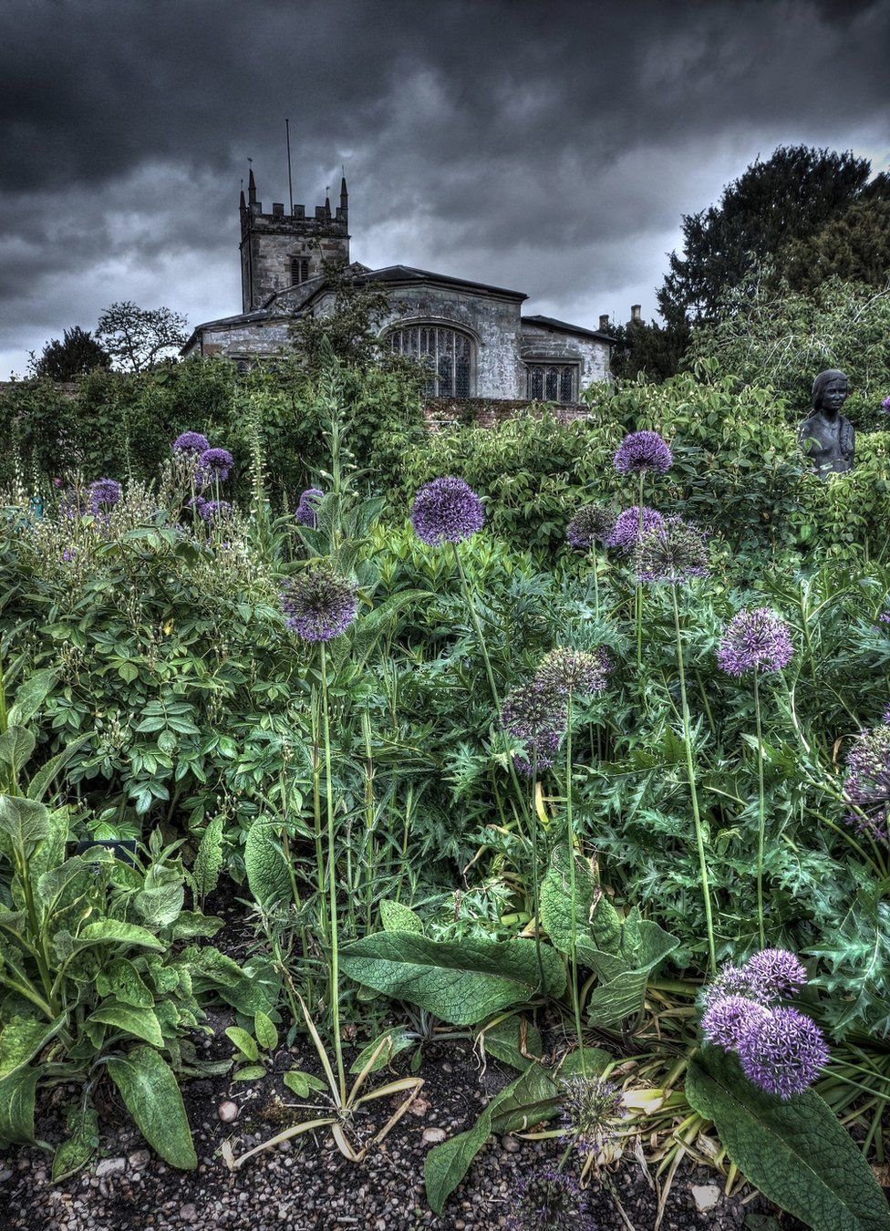 Wild flowers and weeds with a church in the background