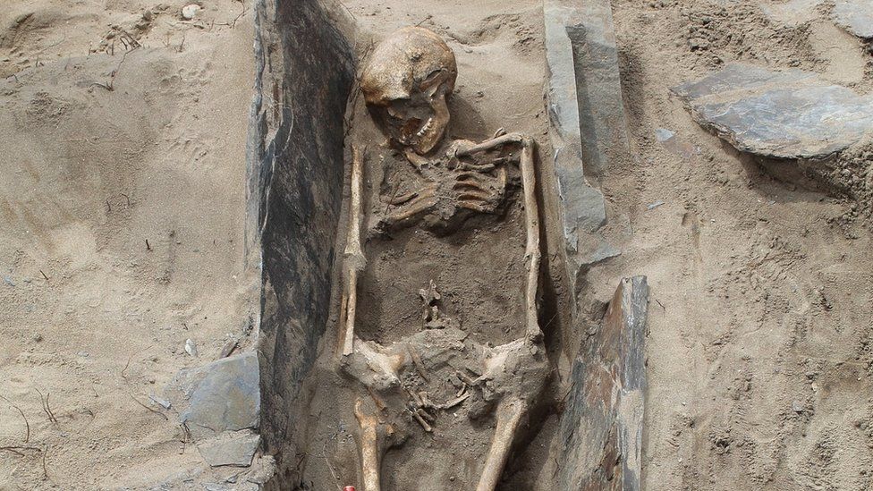 One of the skeletons at Whitesands Bay