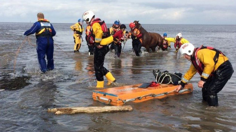 Horses rescued from drowning in Knott End, Lancashire BBC News