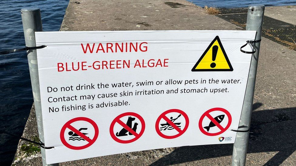 Signs around Lough Neagh saying: Do not drink the water, swim or allow pets in the water. Contact may cause skin irritation and stomach upset