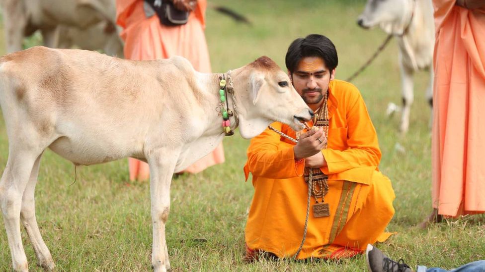 बागेश्वर धाम मंदिर में धीरेंद्र कृष्ण शास्त्री