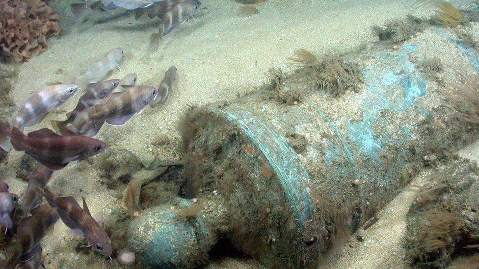 Bronze cannon in situ in Area D, wreck of the First Rate warship HMS Victory.