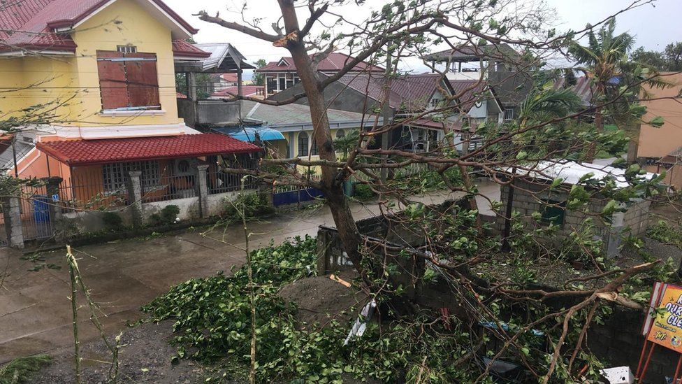 Branches ripped from trees in Tuguegarao