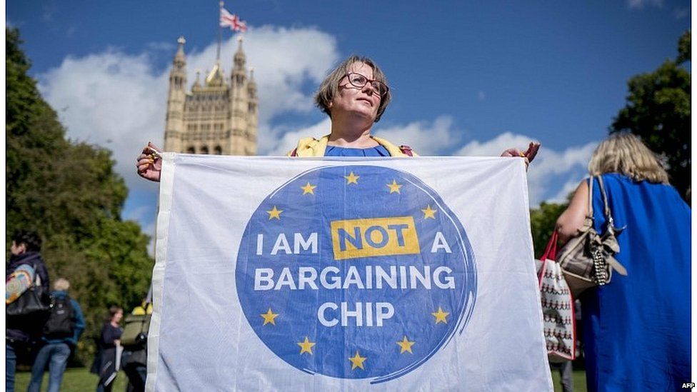 Anti-Brexit demonstrator outside Parliament