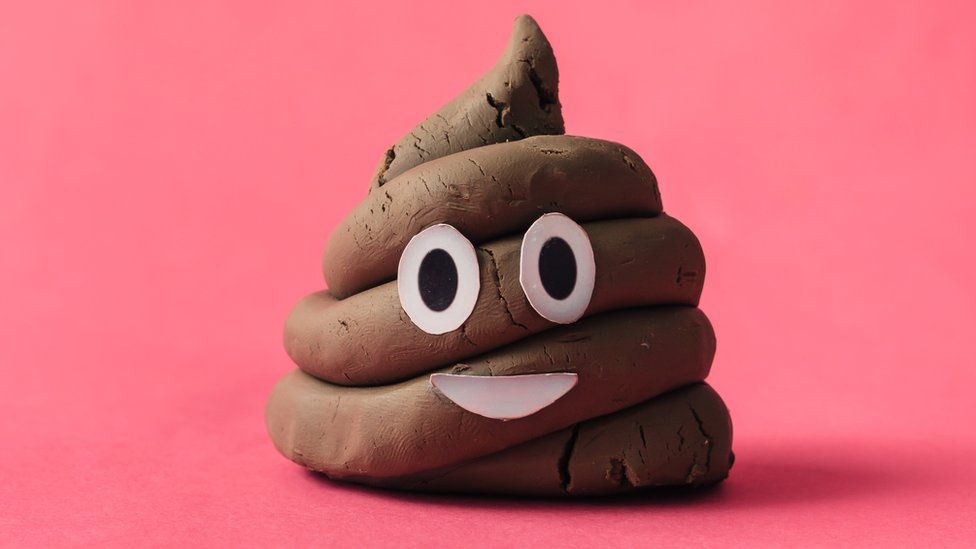 A-fake-poo-with-a-smiley-face.