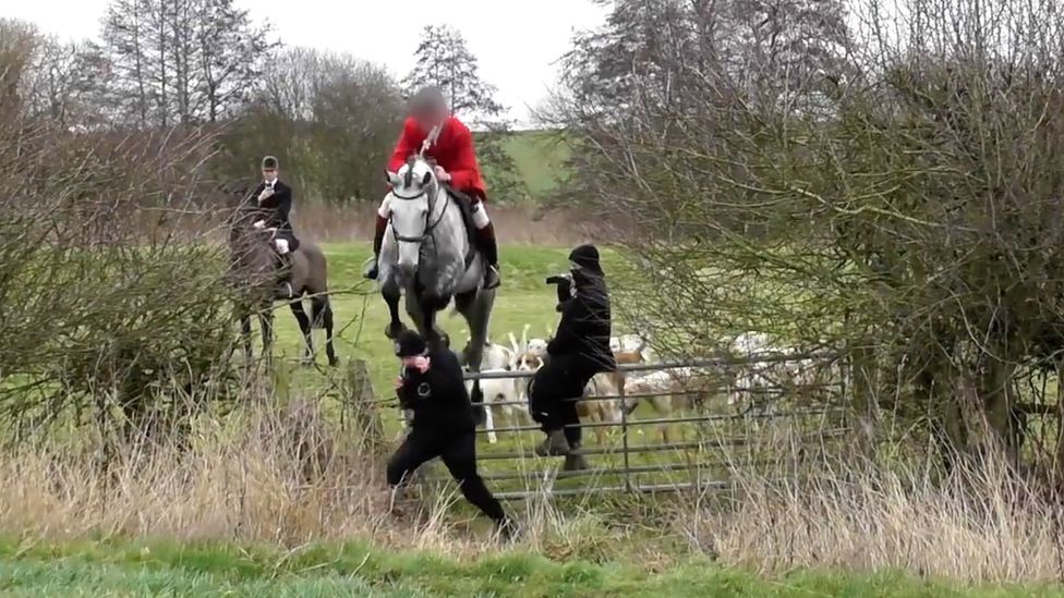 Saboteur hit by horse