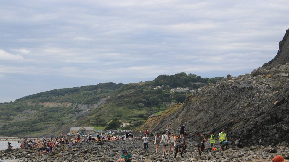 Fossil hunters scouring the shoreline beneath the cliffs at Charmouth
