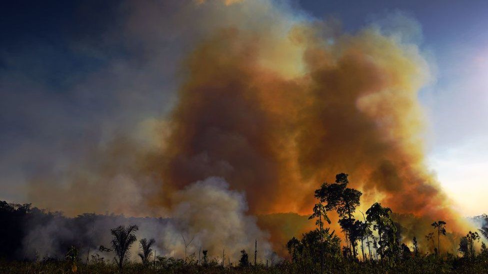 Smoke rises over treetops in the Amazon