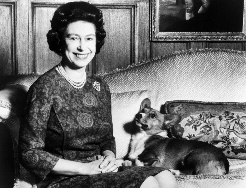 The Queen with one of her corgis