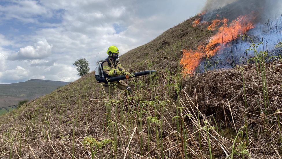 A firefighter hosing down a grass fire in Talgarth