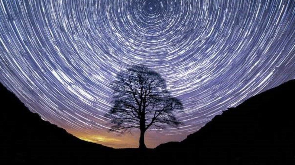 Sycamore Gap