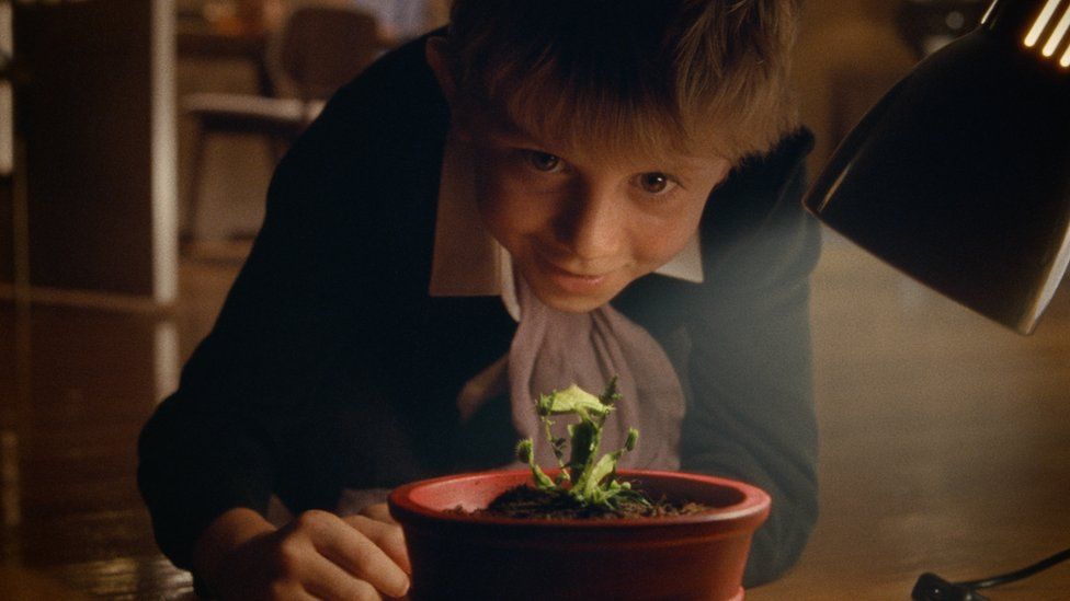 A boy looking at his plant growing