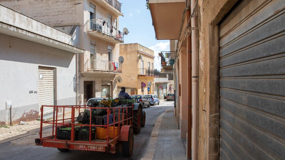 A tractor pulling a cart with crates of olives in Campobello di Mazara in Sicily, Italy