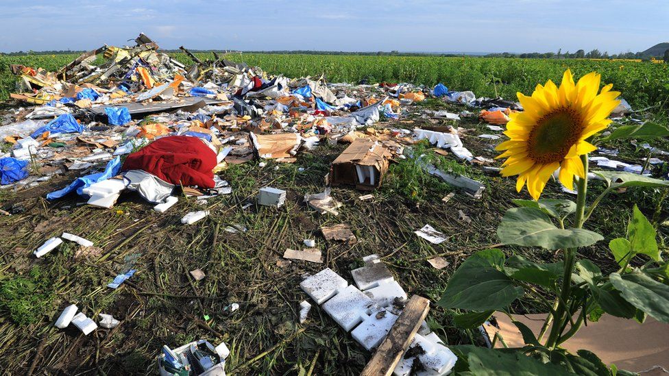 Wreckage of Malaysia Airlines flight MH17 two days after it crashed in a sunflower field near the village of Rassipnoe, in rebel-held east Ukraine (19 July 2014)