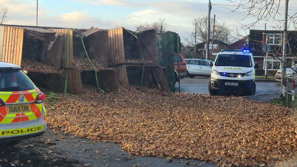 A truck-load of onions all over a road with two police cars parked nearby.