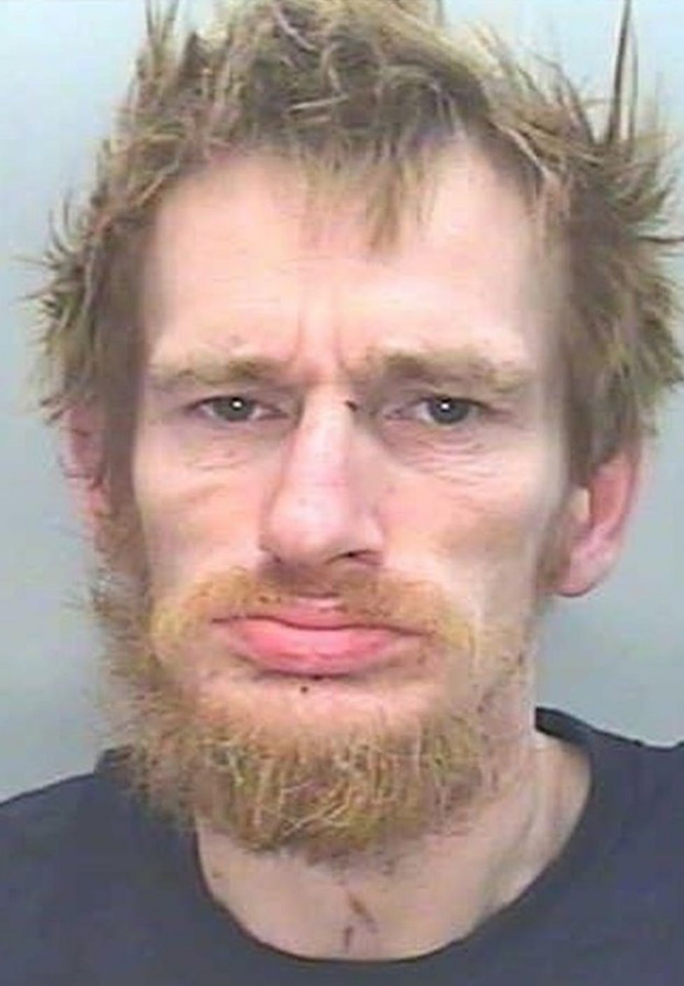 Dartmoor Prison murder accused 'may have been framed' BBC News