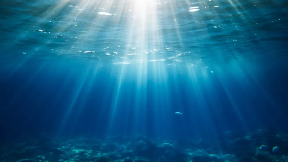 An image showing water at the sea's surface with light pouring in