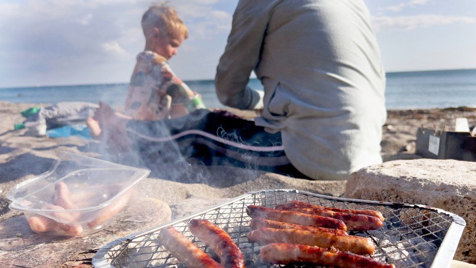 disposable barbecue