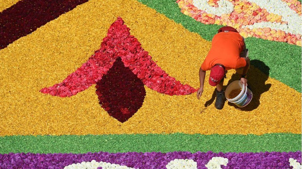 a photo from above shows a volunteer placing petals from a bucket onto the carpet
