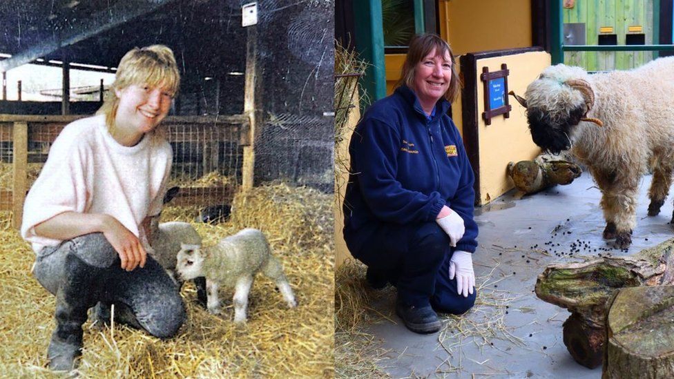 Sue Woodgate with lambs at Drusillas in 1980s and 2024