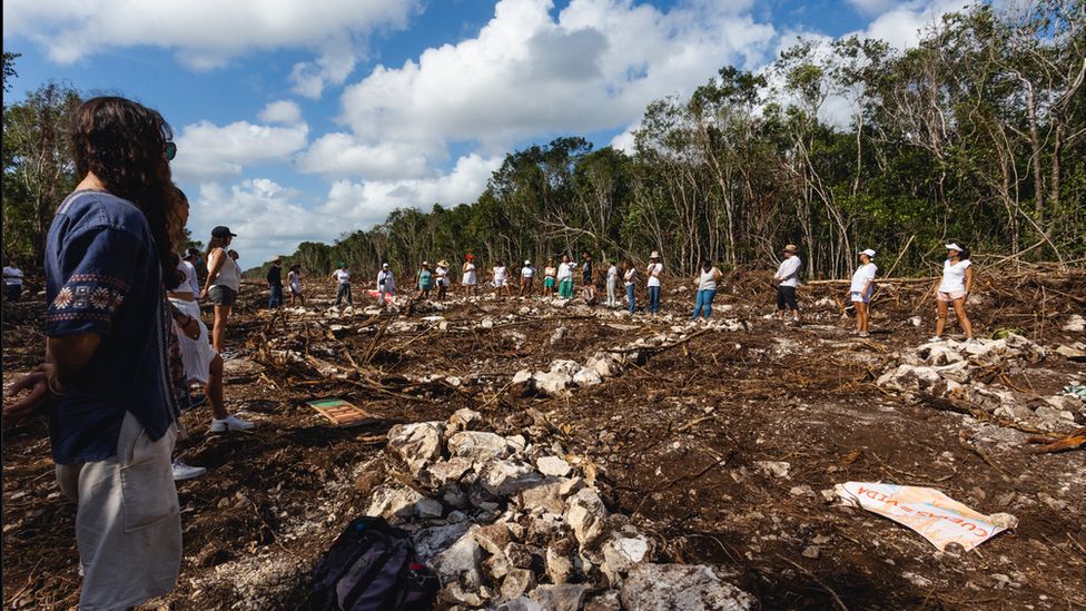 People stand in the cut down part of the rainforest where the Tren Maya is being built