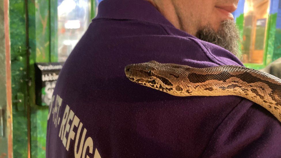 A snake on the shoulder of refuge co-owner Darren Mansfield