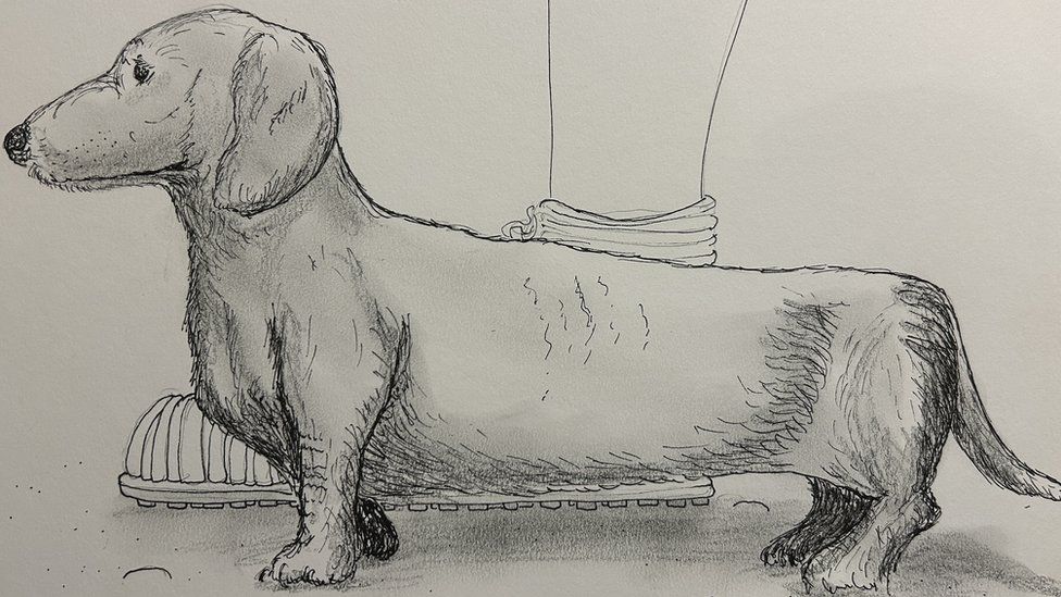 Sketch of small roman dog
