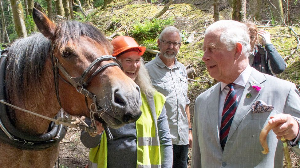 Prince Charles with horse loggers in Llantrisant