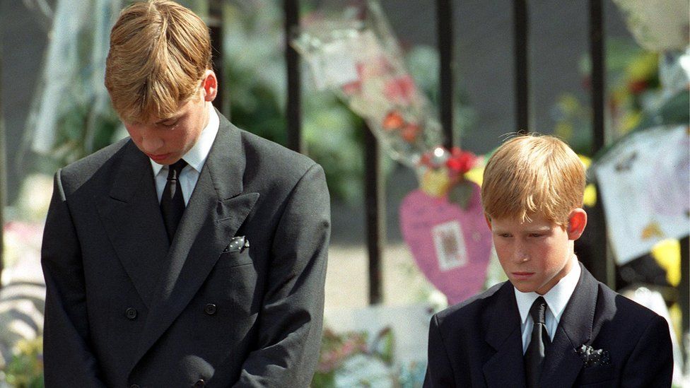Princes William and Harry at their mother's funeral