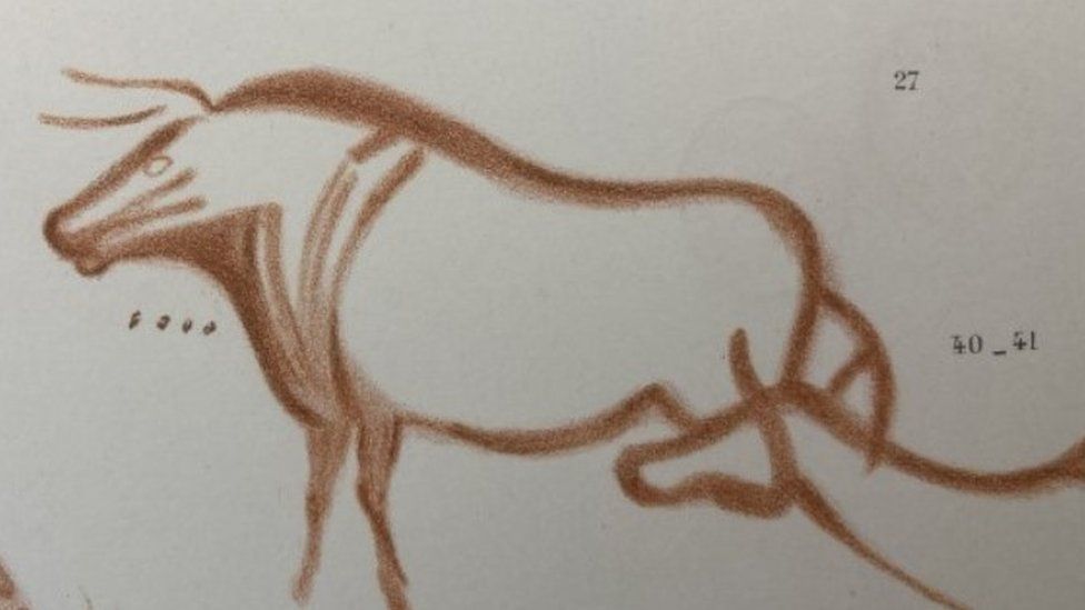 Spanish cave drawing of an aurochs