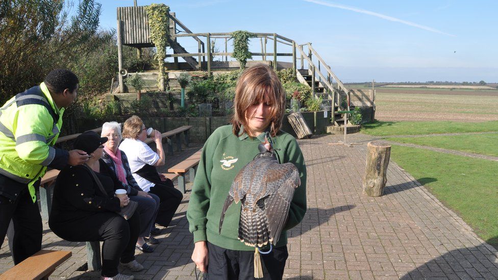 Liz Blows and a peregrine falcon