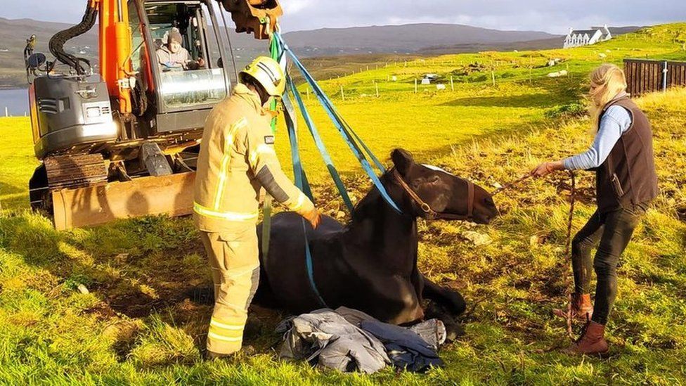 The horses and carts racing on Ireland's motorways - BBC News