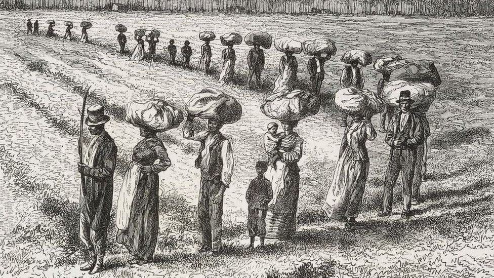 Harvest in the cotton fields in Georgia, United States of America, drawing by Edouard Riou (1833-1900)