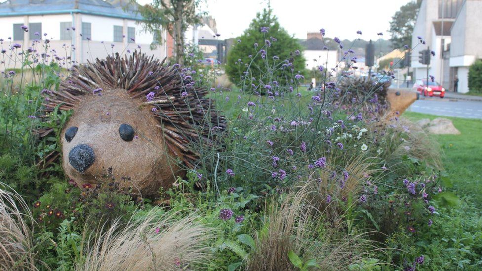 Hedgehogs on roundabout