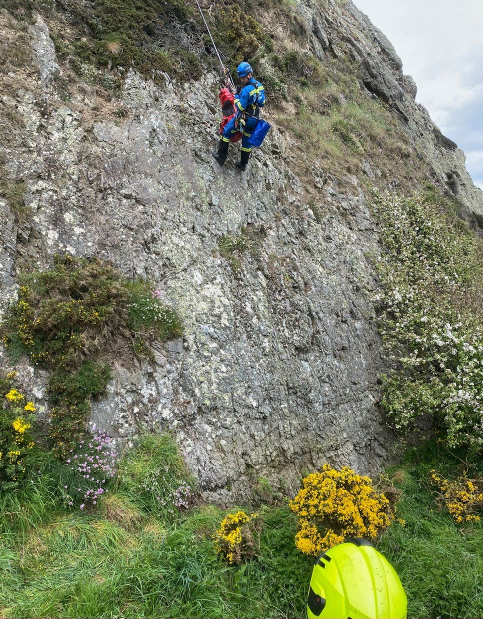 Dog rescued after falling over cliff edge at Cullen - BBC News