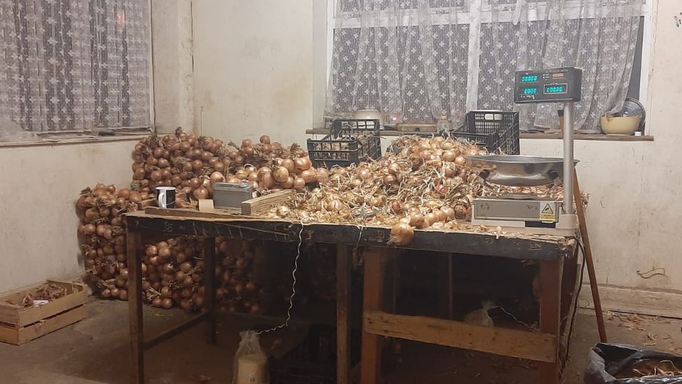 Johnny Onions Cardiff French onion seller retires BBC News