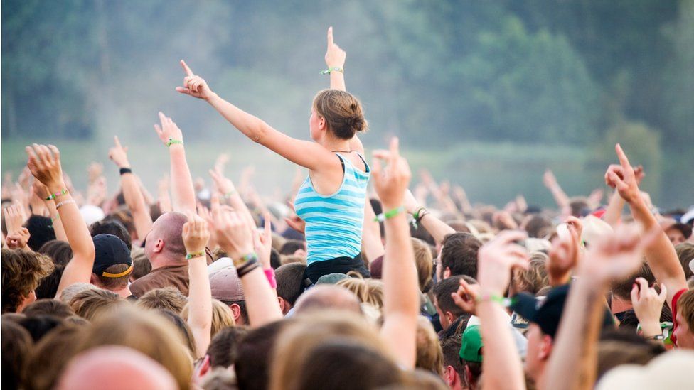 Crowd at a musical festival