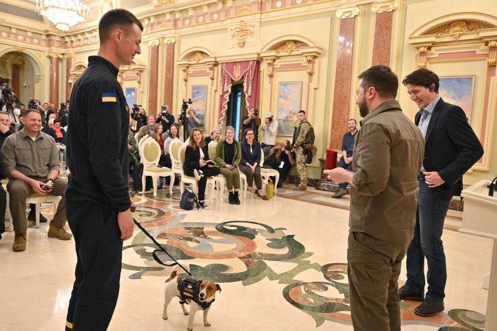Patron and his owner Myhailo Iliev (left) are awarded medals by Ukraine's President Volodymyr Zelensky (middle) and Canadian Prime Minister Justin Trudeau (right) during a news conference in Kyiv on Sunday