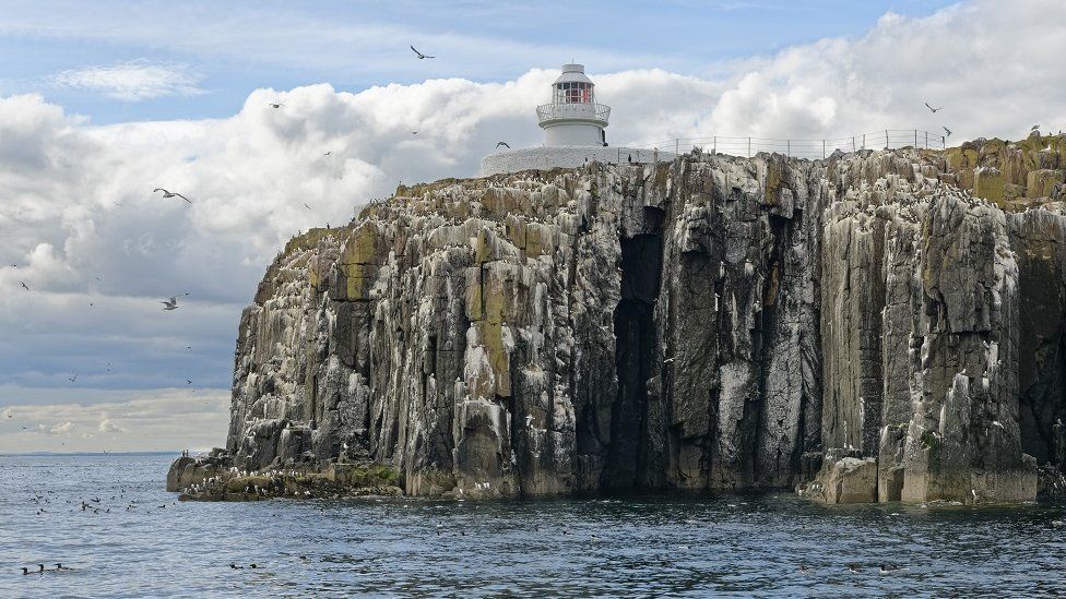 The Farne Islands are home to colonies of seabirds