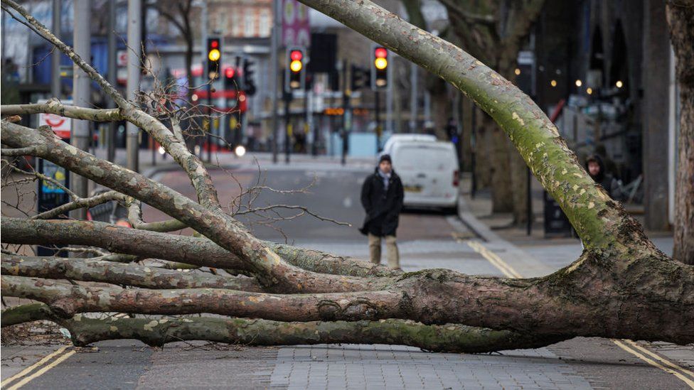 A fallen tree near Waterloo Station in central London after Storm Eunice