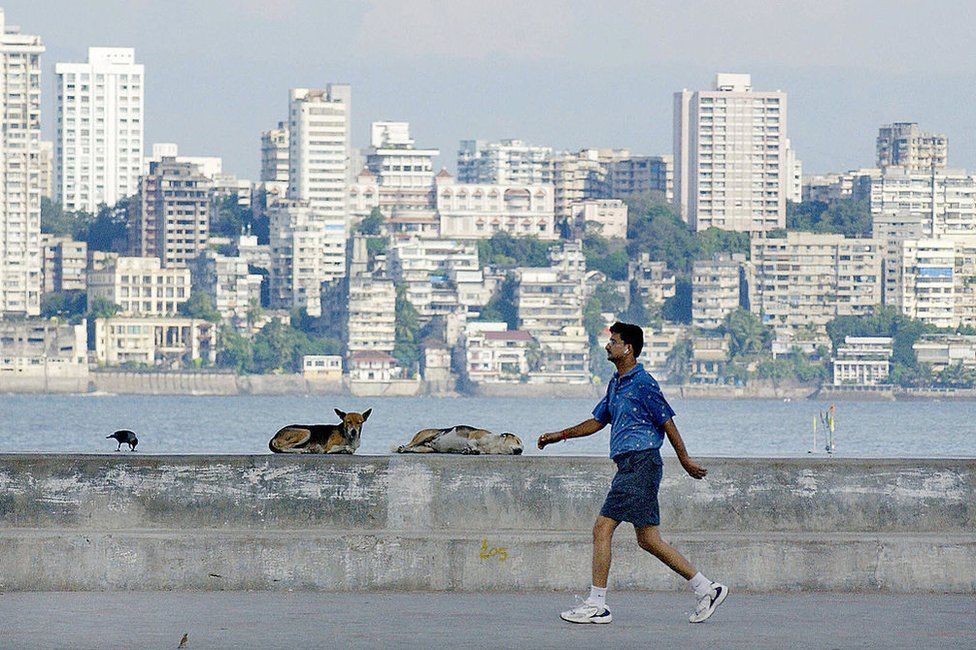 An Indian man gets in early morning exercise against a backdrop of a section of the city, as dogs rest along Marine Drive in Bombay, 10 October 2004.